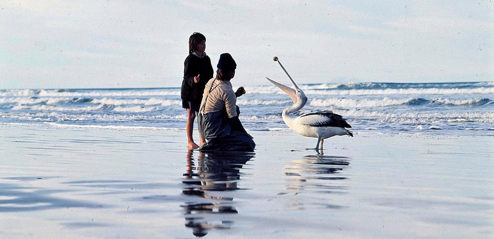 Greg Rowe and Gordon Noble with a pelican standing on the beach. Noble is teaching the pelican how to catch a ball.