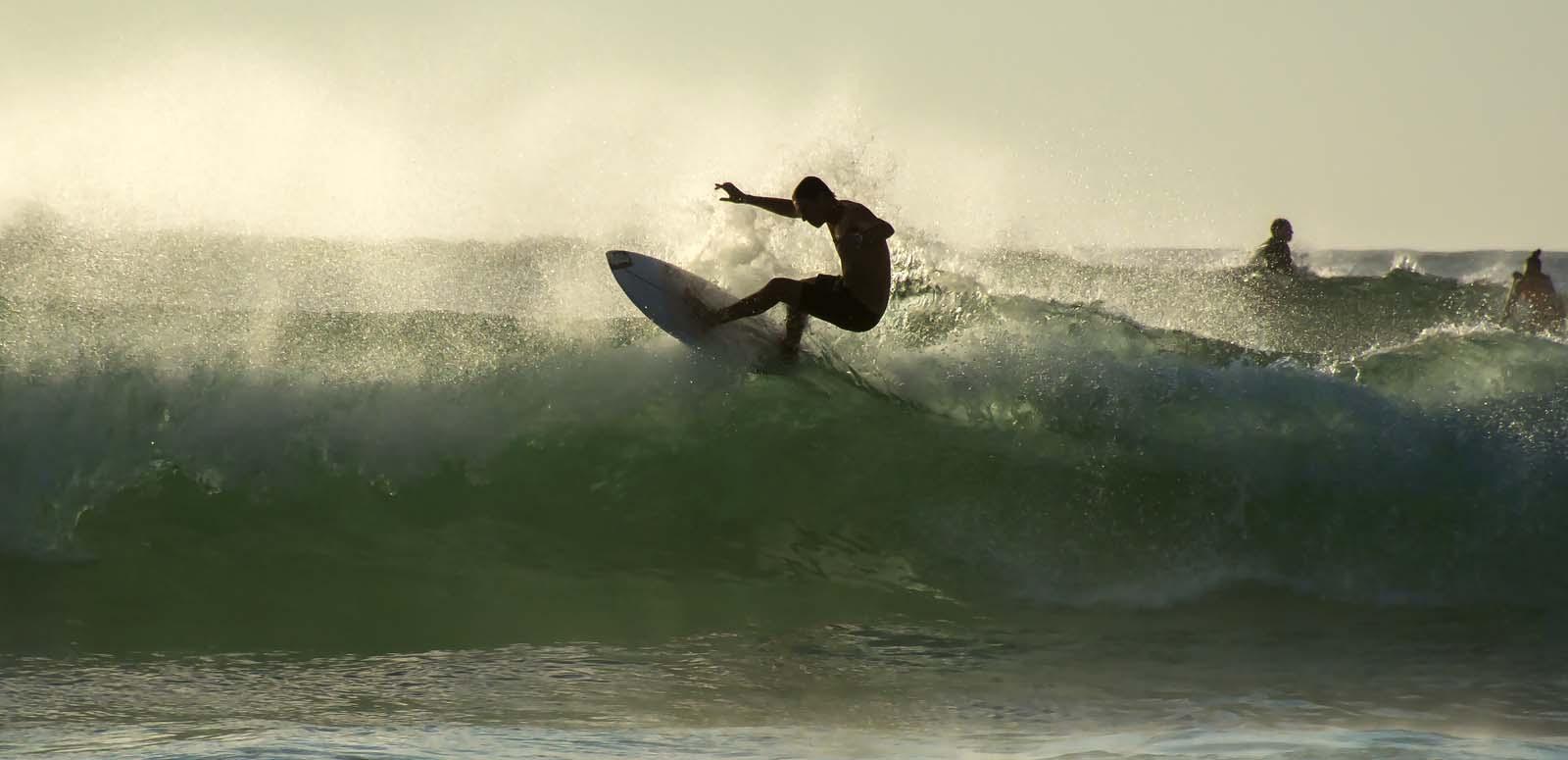 Young surfer surfing at Bondi Beach