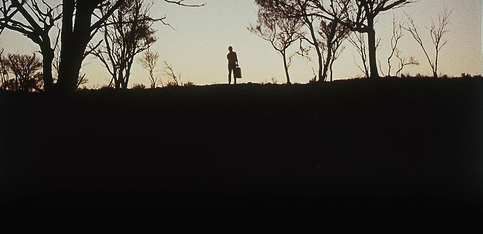 A still image from Wake in Fright shows a silhouetted man surrounded by trees