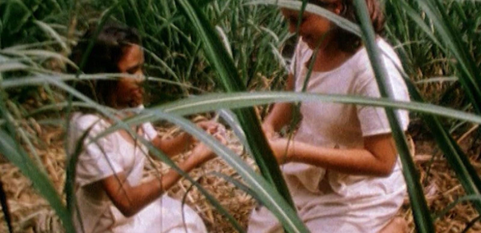 Two young girls sitting and playing in a sugarcane field
