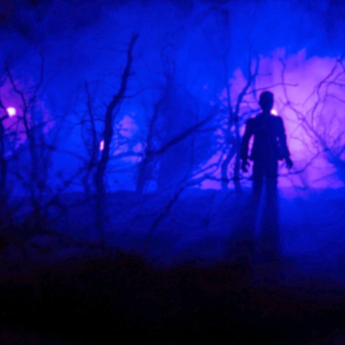 A shadowy figure in a dark forest.