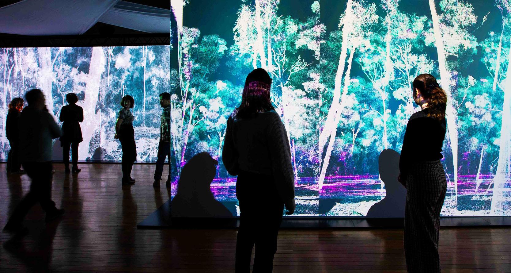Visitors to the Ghost Trees exhibition at the National Film and Sound Archive silhouetted against large screens showing projected images of a ghostly looking forest