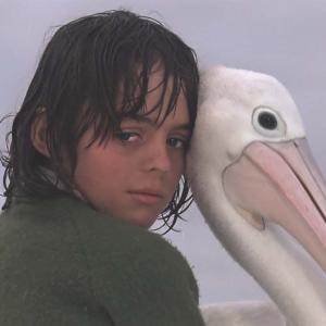 Storm Boy sits with his head resting against that of a pelican
