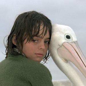 A boy and a pelican on a beach in a scene from Storm Boy