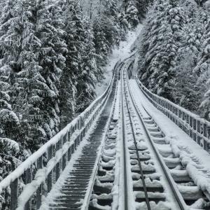 Photo of snow-covered railway tracks and surrounding trees 