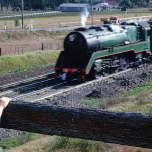 A steam train on a track passing through a rural area while a young boy watches on from behind a fence.