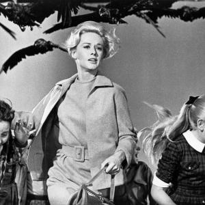 Still from The Birds (1963)