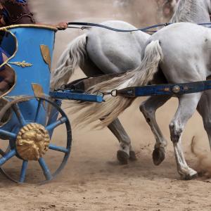 Horses pulling chariot