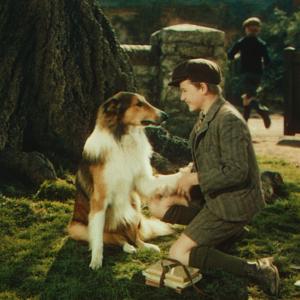 Still from Lassie Come Home (1943)