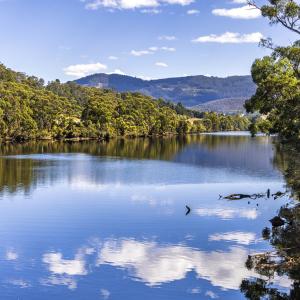 Clouds reflected on the Huon River on a sunny day in Tasmania