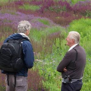 Still from Five Seasons: The Gardens of Piet Oudolf 