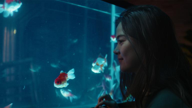 Close up of a young woman looking through a fish tank at a goldfish.