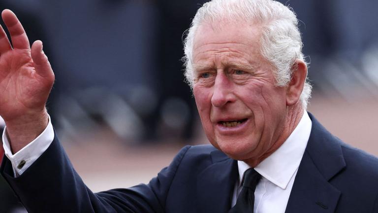 Head and shoulders image of King Charles III waving.