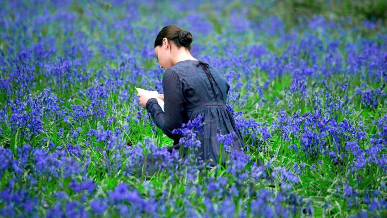 A girl sits in a field of bluebells reading a book with her back to the camera