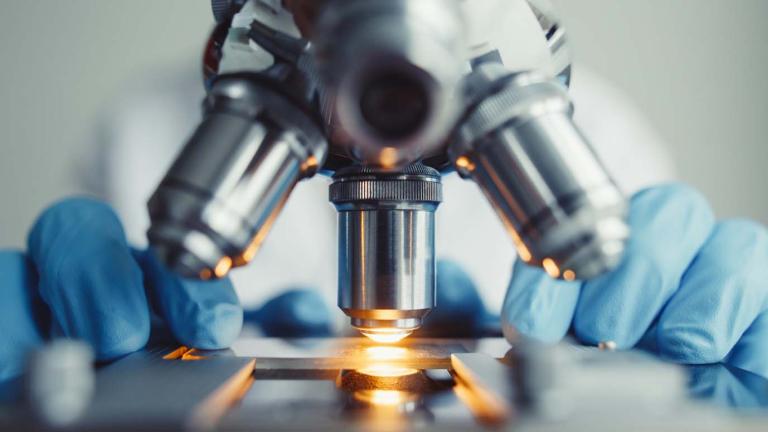 A close-up of a sample slide placed under a microscope in a laboratory
