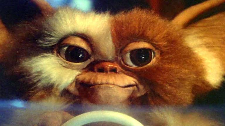 Close up of a cute furry creature from the film Gremlins