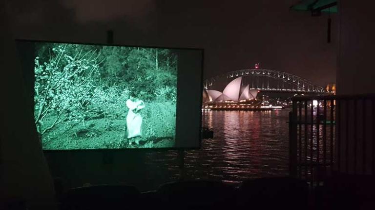 An outdoor cinema screen with the Sydney Opera House in the background