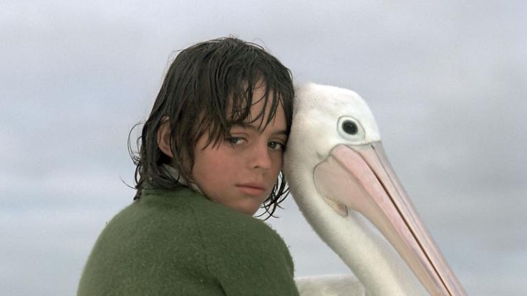 A boy and a pelican on a beach in a scene from Storm Boy