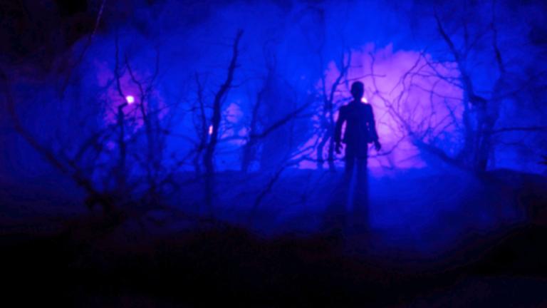 A shadowy figure in a dark forest.
