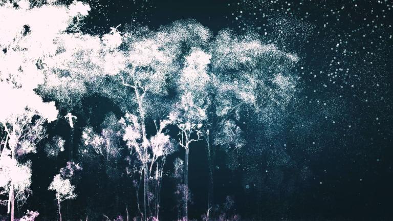 A negative image 3D projection of trees in a forest under a night sky