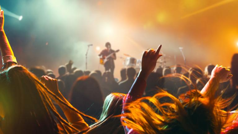 Crowd of people at a rock concert