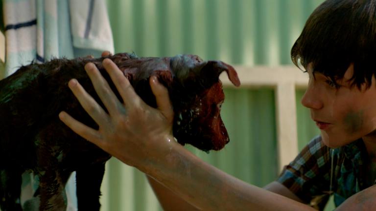 A boy washes down a young puppy. Both of them are wet with mud smeared and smudged on them. In the background is a corrugated green wall.