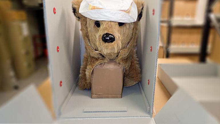 Head from a bear costume inside a conservation box