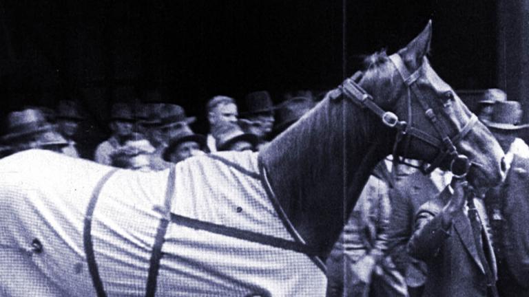 Horse Phar Lap is being led somewhere in a crowd of men in hats. He is wearing a horse rug around his middle.