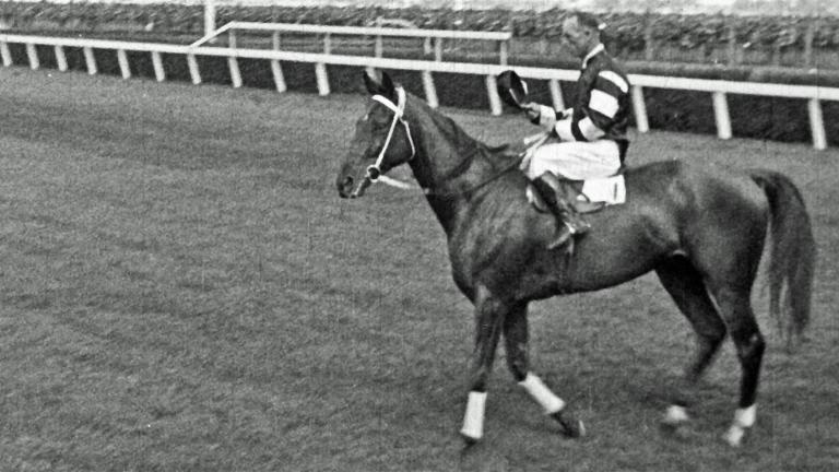 Phar Lap being ridden by jockey Jim Pike just after winning the 1930 Melbourne Cup race
