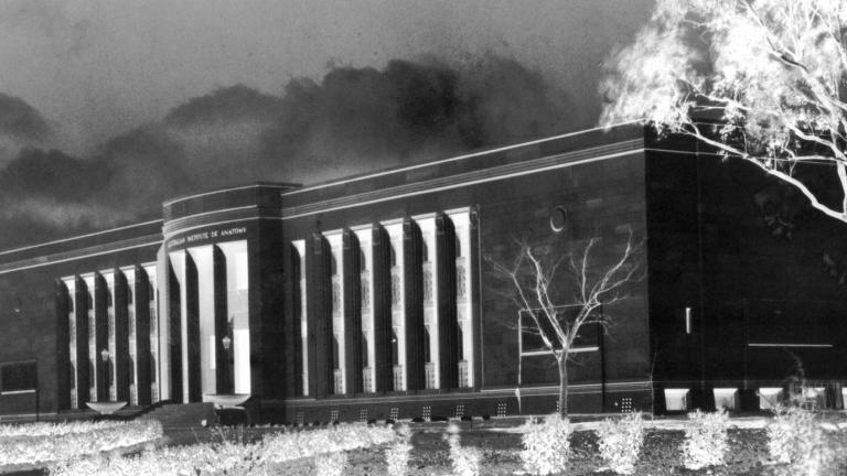 A negative exposure photograph of the Australian Institute of Anatomy (now the NFSA) building