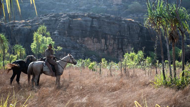 A man with two horses in the bush with a large rock formation in the background.
