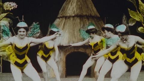 Five women dressed as bees, dancing in front of a hut, with giant flowers in the background
