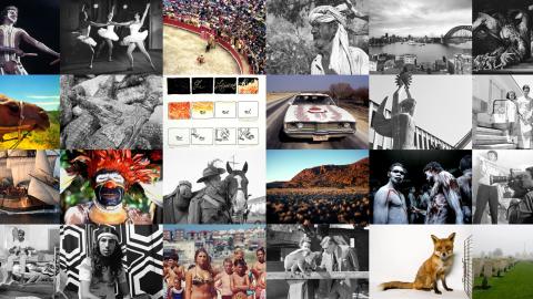 A grid of images showing scenes from Australian documentaries