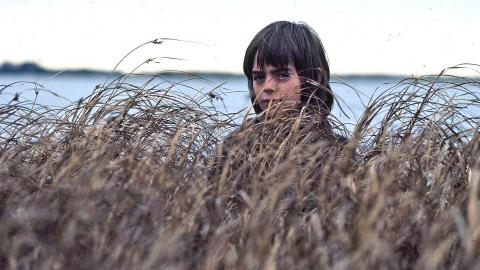 Greg Rowe as Storm Boy looking at the camera through long grass