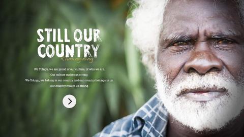 Screenshot from the Still our Country website. The image features a Yolungu man against a background of green grass, with an arrow prompting visitors to enter the website.