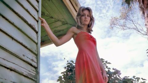 Singer Olivia Newton-John, c1970s.