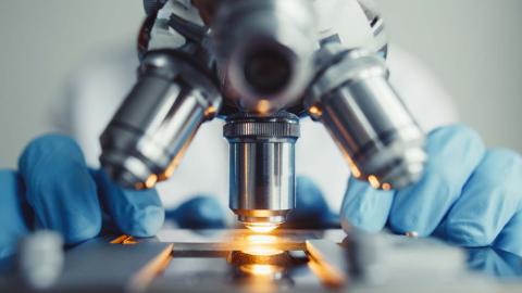 A close-up of a sample slide placed under a microscope in a laboratory