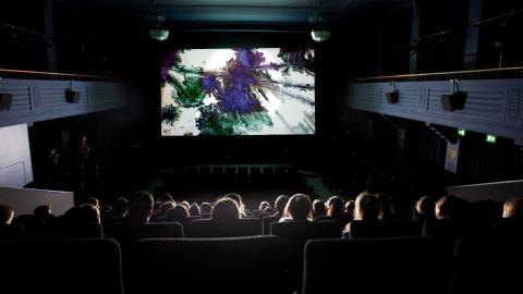 People in NFSA's Arc Cinema