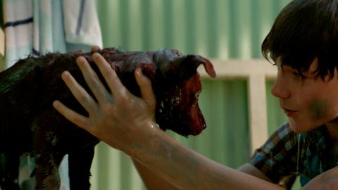 A boy washes down a young puppy. Both of them are wet with mud smeared and smudged on them. In the background is a corrugated green wall.