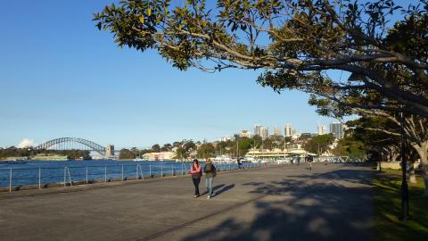 Sydney Harbour with the bridge in the background