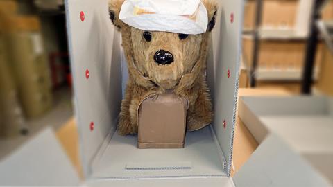 Head from a bear costume inside a conservation box