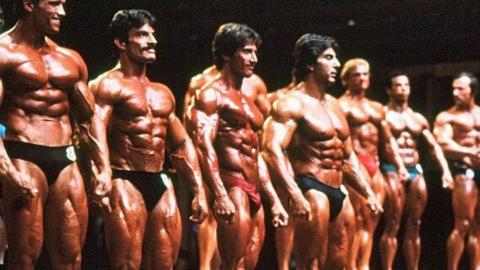A row of bodybuilders