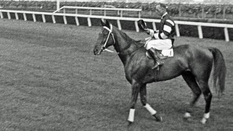 Phar Lap being ridden by jockey Jim Pike just after winning the 1930 Melbourne Cup race