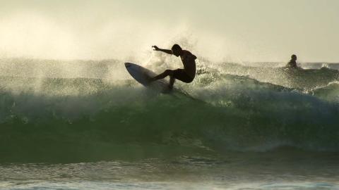 Young surfer surfing at Bondi Beach