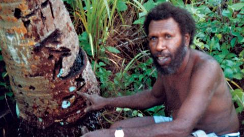Eddie Koiki Mabo surrounded by a tree and plants in a garden. Eddie Koiki Mabo surrounded by a tree and plants in a garden.