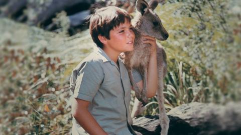 Sonny sits on a rock with Skippy the kangaroo's paws resting on his arm Sonny sits on a rock with Skippy the kangaroo's paws resting on his arm