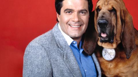 Simon Townsend's Wonder World hero image Head and shoulders shot of Simon Townsend wearing a sportscoat and shirt, smiling at camera, sitting next to his pet Woodrow the bloodhound, against a deep red backdrop.