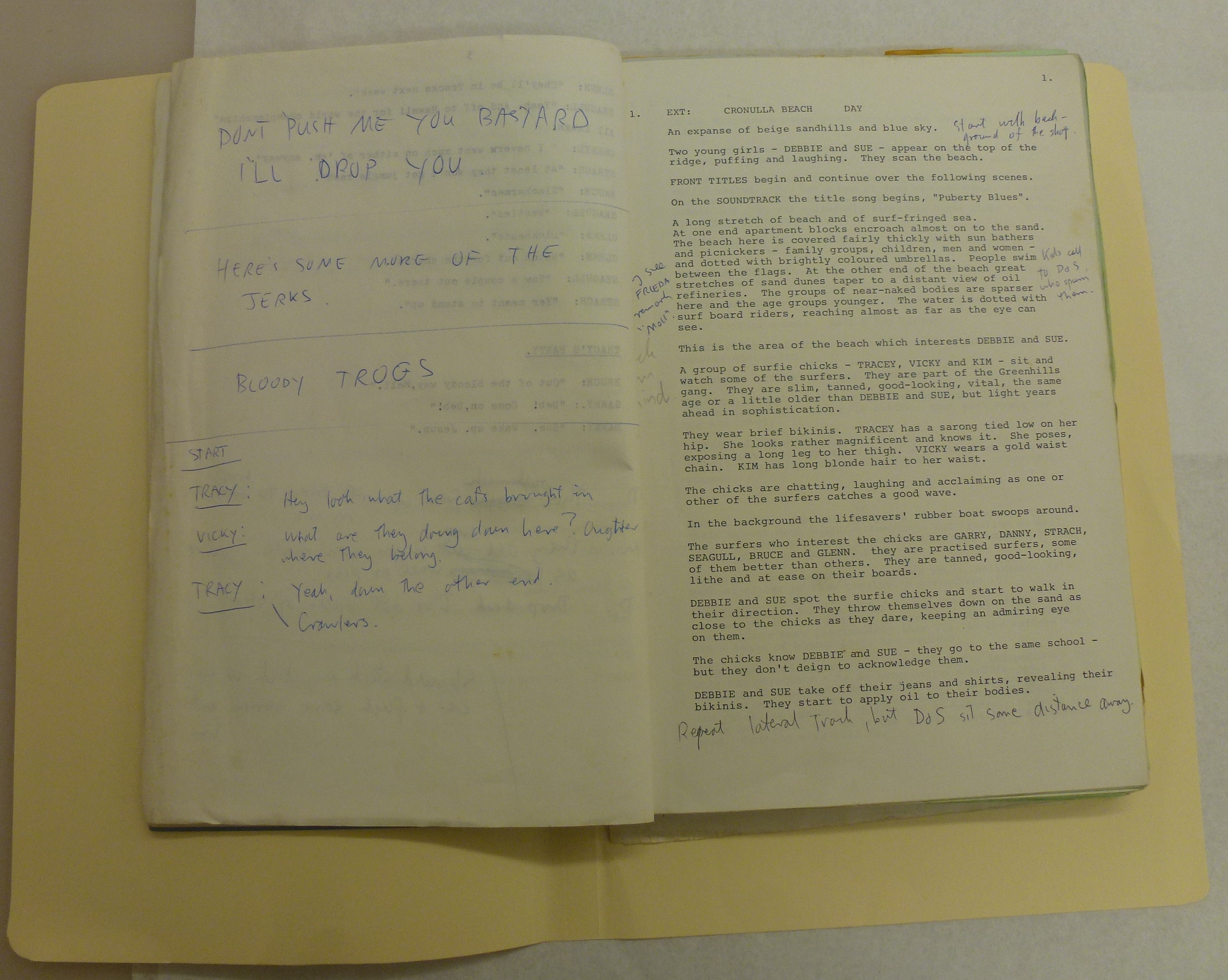 Puberty blues essay 08 image